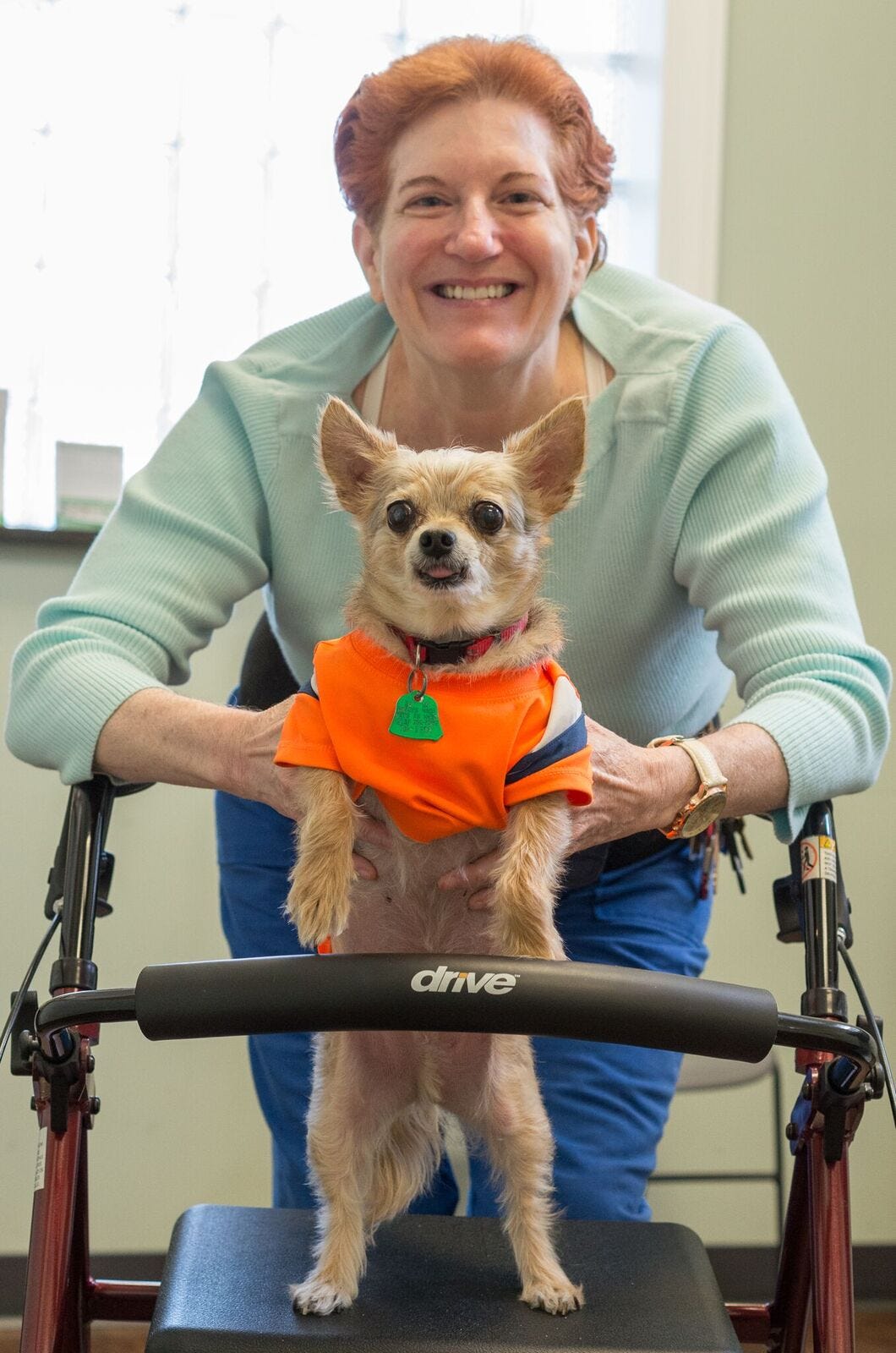 affordable dog vets near me